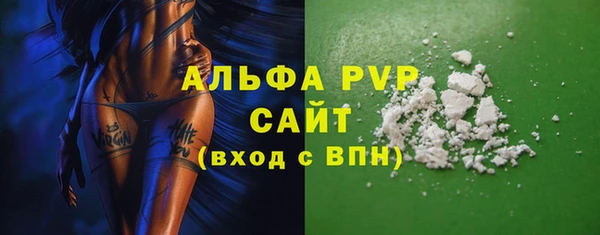 стаф Белокуриха