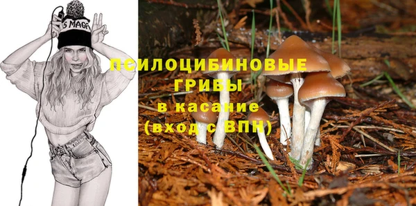 прущая мука Баксан