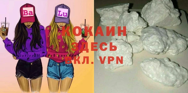 стаф Белокуриха