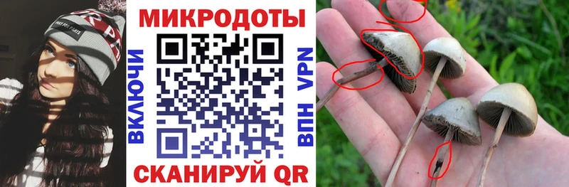 Псилоцибиновые грибы мухоморы Октябрьск